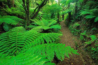 日厂推出电影《新奥特曼》怪兽主题毛绒周边 2022年5月发售